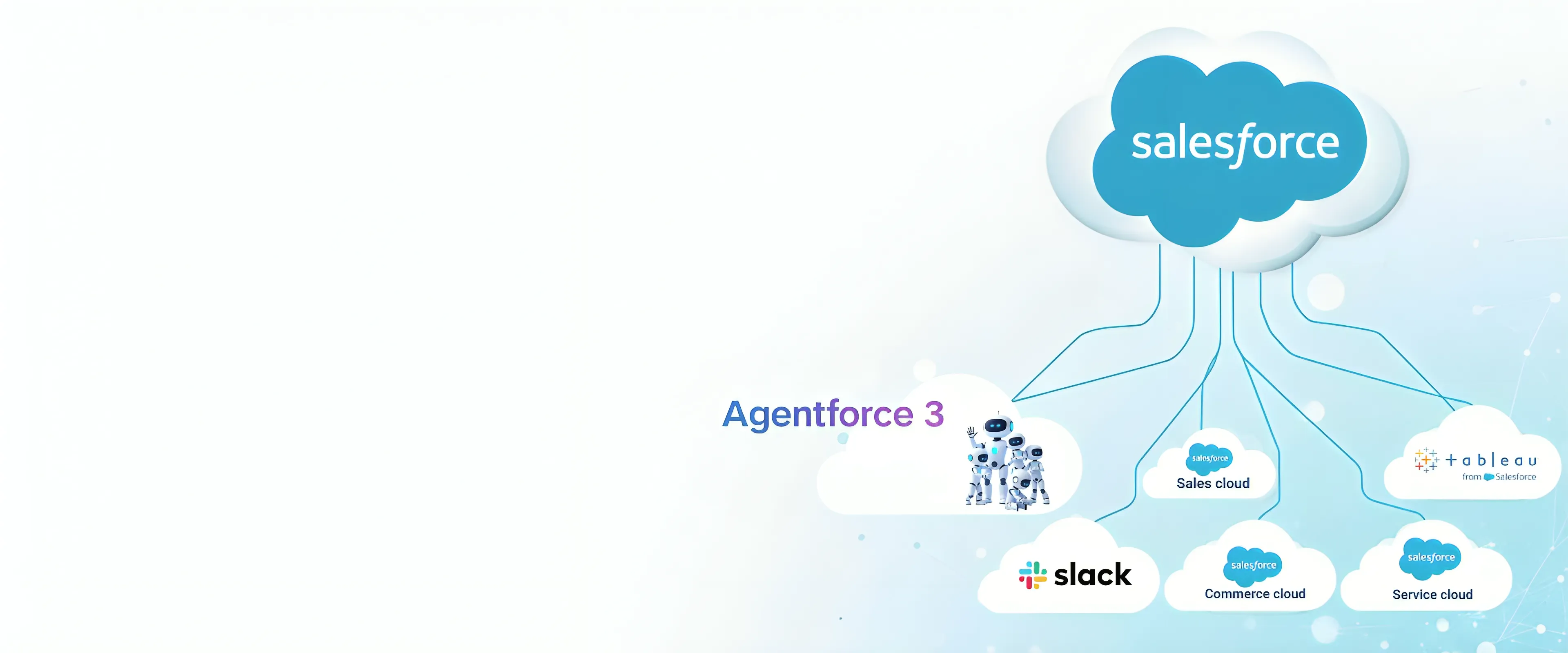 Salesforce customer platform