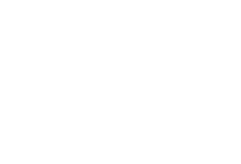 Federal-Mogul